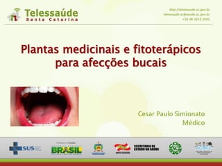 Plantas medicinais e fitoterápicos
para afecções bucais
Cesar Paulo Simionato
Médico
 