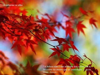 Conforme se olha “ A beleza não é um atributo das coisas em si. Só existe na mente que as contempla.”  David Hume – Escocia - 