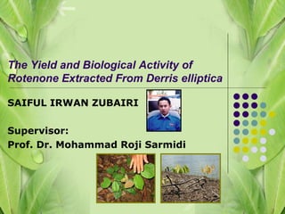 SAIFUL IRWAN ZUBAIRI Supervisor: Prof. Dr. Mohammad Roji Sarmidi The Yield and Biological Activity of Rotenone Extracted From Derris elliptica   