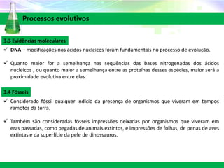3.3 Evidências moleculares
 DNA – modificações nos ácidos nucleicos foram fundamentais no processo de evolução.
 Quanto maior for a semelhança nas sequências das bases nitrogenadas dos ácidos
nucleicos , ou quanto maior a semelhança entre as proteínas desses espécies, maior será a
proximidade evolutiva entre elas.
Processos evolutivos
3.4 Fósseis
 Considerado fóssil qualquer indício da presença de organismos que viveram em tempos
remotos da terra.
 Também são consideradas fósseis impressões deixadas por organismos que viveram em
eras passadas, como pegadas de animais extintos, e impressões de folhas, de penas de aves
extintas e da superfície da pele de dinossauros.
 