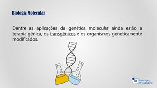 Biologia Molecular
Dentre as aplicações da genética molecular ainda estão a
terapia gênica, os transgênicos e os organismos geneticamente
modificados.
 