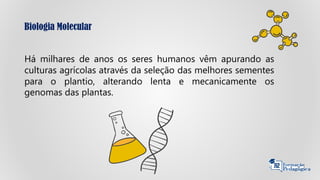 Biologia Molecular
Há milhares de anos os seres humanos vêm apurando as
culturas agrícolas através da seleção das melhores sementes
para o plantio, alterando lenta e mecanicamente os
genomas das plantas.
 