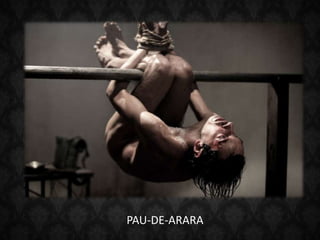 PAU-DE-ARARA
 