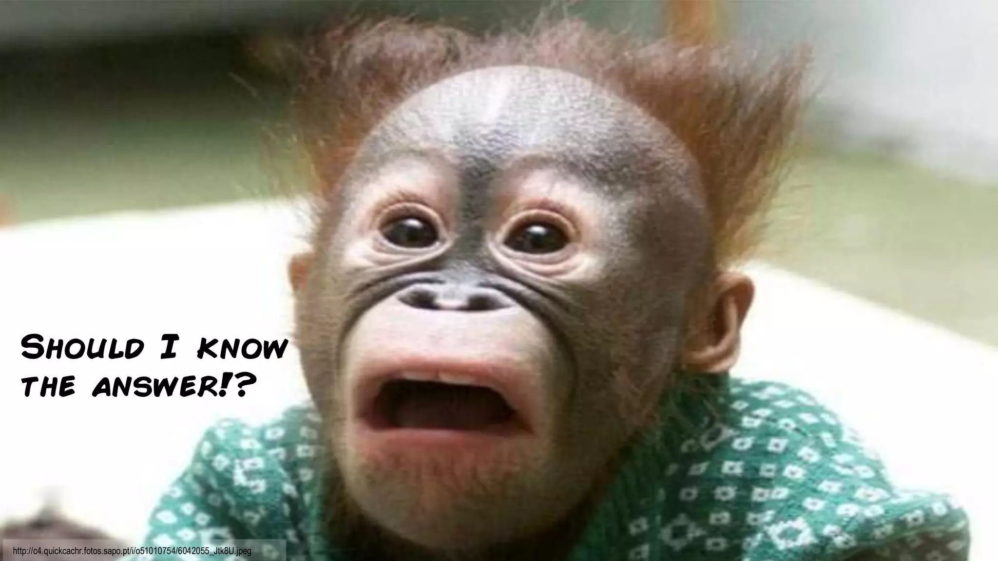 marcello.thiry@gmail.comhttp://c4.quickcachr.fotos.sapo.pt/i/o51010754/6042055_Jtk8U.jpeg
Should I know
the answer!?
 