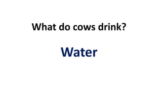 What do cows drink?
Water
 