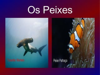 Os Peixes 