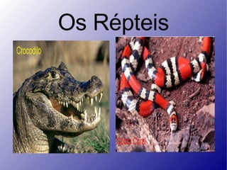 Os Répteis 
