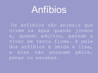Anfíbios Os anfíbios são animais que vivem na água quando jovens e, quando adultos, passam a viver em terra firme. A pele dos anfíbios é úmida e lisa, e eles não possuem pêlos, penas ou escamas. 