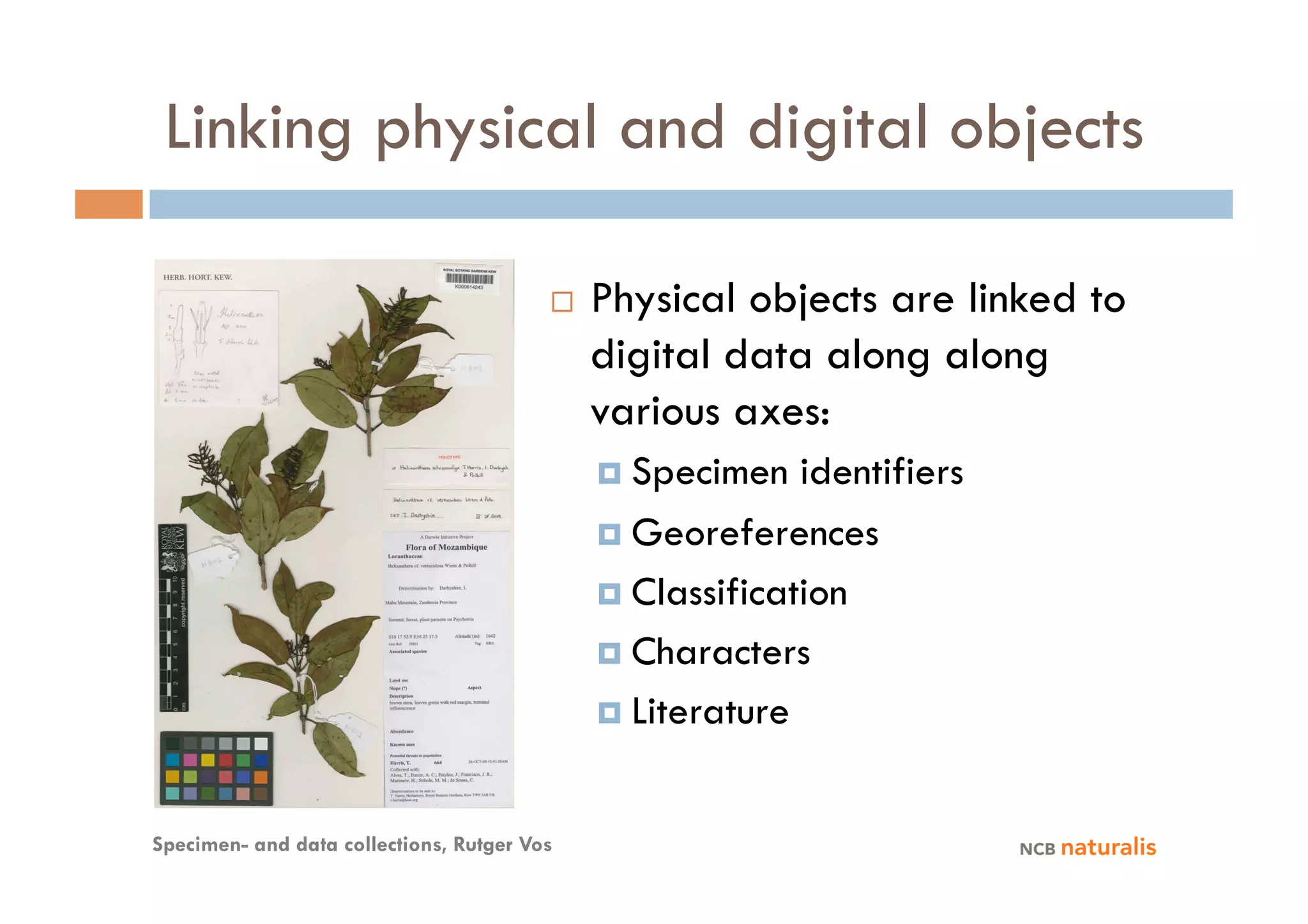 Linking physical and digital objects

                                             Physical objects are linked to
                                              digital data along along
                                              various axes:
                                                Specimen   identifiers
                                                Georeferences

                                                Classification

                                                Characters

                                                Literature



Specimen- and data collections, Rutger Vos
 