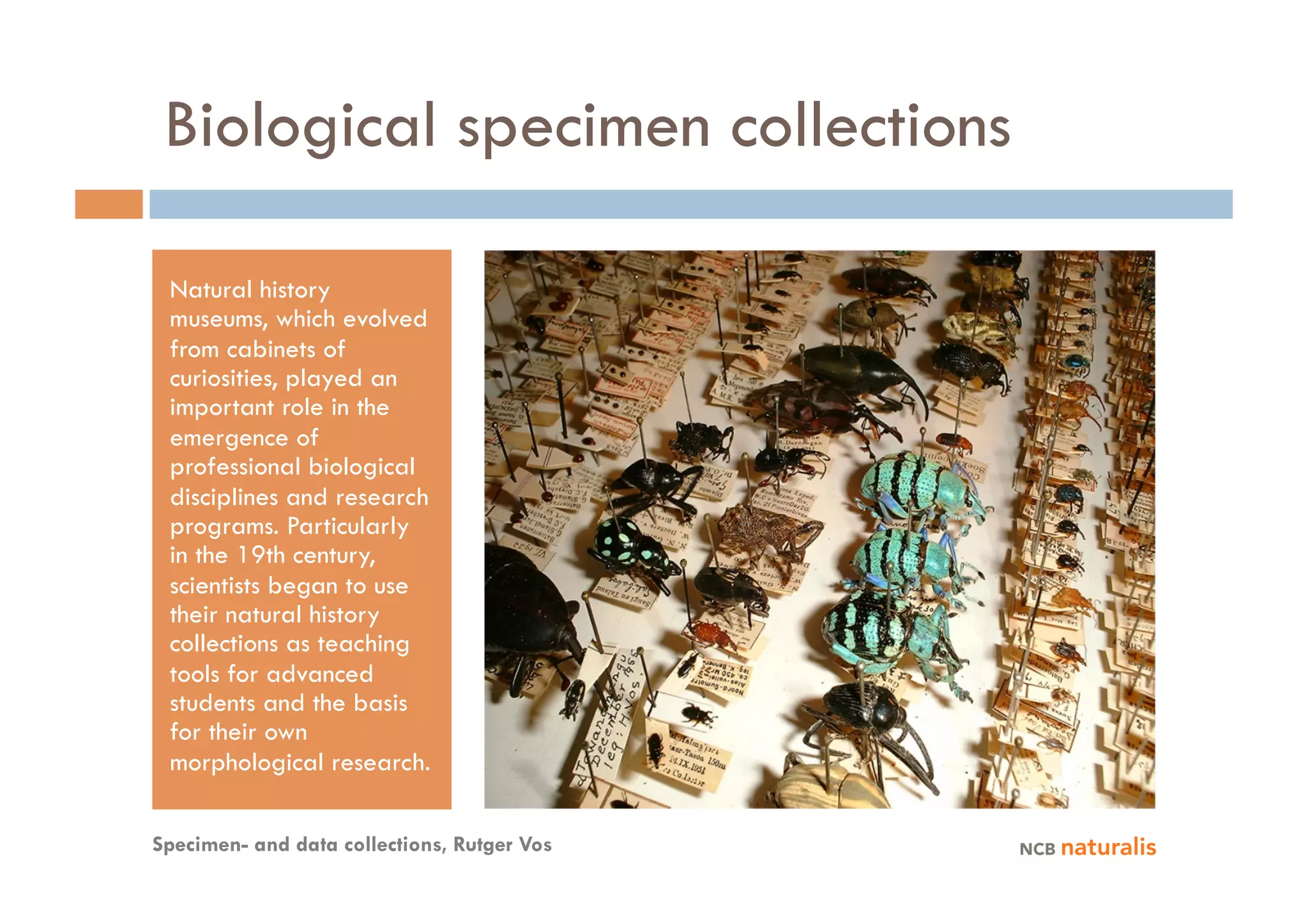 Biological specimen collections

 Natural history
 museums, which evolved
 from cabinets of
 curiosities, played an
 important role in the
 emergence of
 professional biological
 disciplines and research
 programs. Particularly
 in the 19th century,
 scientists began to use
 their natural history
 collections as teaching
 tools for advanced
 students and the basis
 for their own
 morphological research.

Specimen- and data collections, Rutger Vos
 