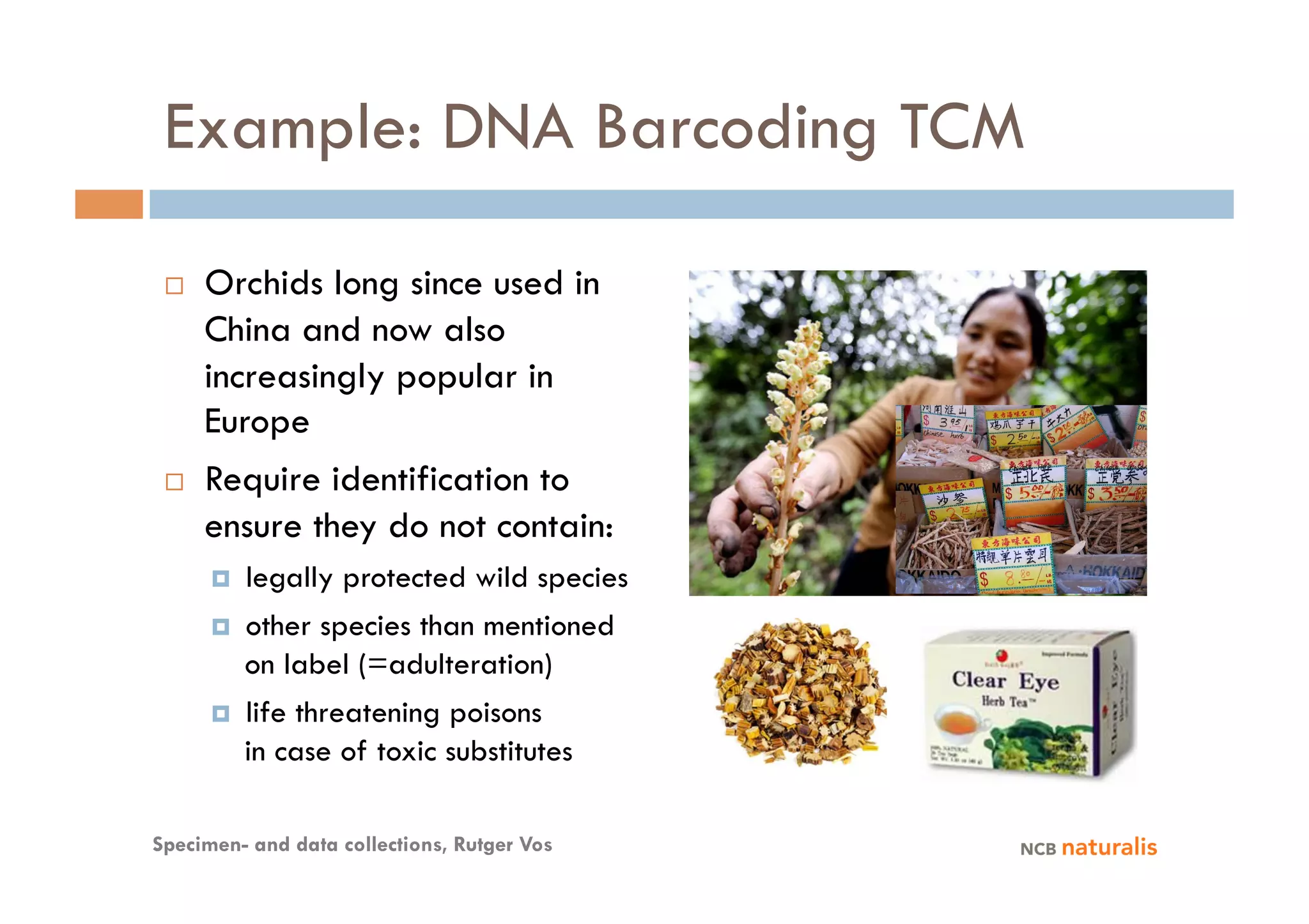 Example: DNA Barcoding TCM

     Orchids long since used in
      China and now also
      increasingly popular in
      Europe
     Require identification to
      ensure they do not contain:
          legally protected wild species
          other species than mentioned
           on label (=adulteration)
          life threatening poisons
           in case of toxic substitutes

Specimen- and data collections, Rutger Vos
 