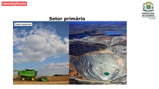 Setor primário
 