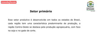 Setor primário
Esse setor produtivo é desenvolvido em todos os estados do Brasil,
cada região tem uma característica predominante de produção, a
região Centro-Oeste se destaca pela produção agropecuária, com foco
na soja e no gado de corte.
 