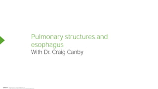 Pulmonary structures and
esophagus
With Dr. Craig Canby
Maria Rodríguez, ilenbravodiaz@gmail.com
© www.lecturio.de | Dieses Dokument ist urheberrechtlich geschuetzt.
Powered by TCPDF (www.tcpdf.org)
 