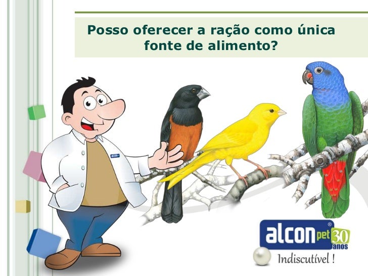 Estacoes De Alimentacao De Aves