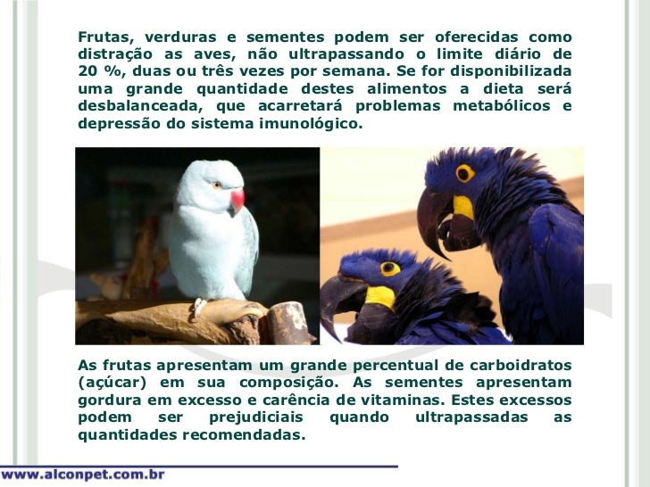 Estacoes De Alimentacao De Aves