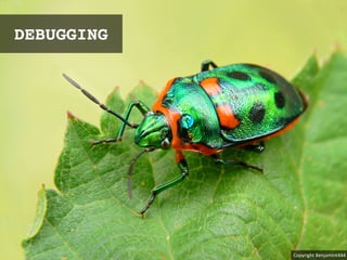 DEBUGGING
Copyright*Benjamint444
 