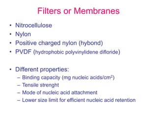 Filters or Membranes
• Nitrocellulose
• Nylon
• Positive charged nylon (hybond)
• PVDF (hydrophobic polyvinylidene difloride)
• Different properties:
– Binding capacity (mg nucleic acids/cm2)
– Tensile strenght
– Mode of nucleic acid attachment
– Lower size limit for efficient nucleic acid retention
 