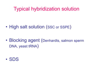 Typical hybridization solution
• High salt solution (SSC or SSPE)
• Blocking agent (Denhardts, salmon sperm
DNA, yeast tRNA)
• SDS
 