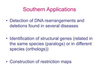 Southern Applications
• Detection of DNA rearrangements and
deletions found in several diseases
• Identification of structural genes (related in
the same species (paralogs) or in different
species (orthologs))
• Construction of restriction maps
 