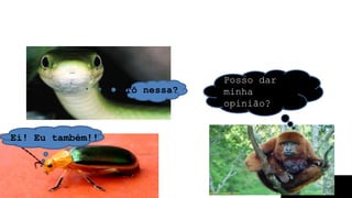 OLHAR, AGIR E PROTEGER AQUELES QUE
NÃO FALAM!
Posso dar
minha
opinião?
Tô nessa?
Ei! Eu também!!
 