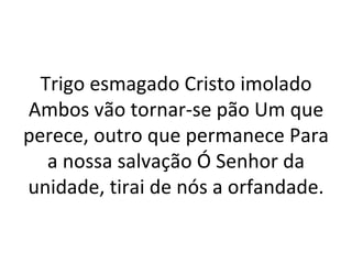 Trigo esmagado Cristo imolado
Ambos vão tornar-se pão Um que
perece, outro que permanece Para
   a nossa salvação Ó Senhor da
unidade, tirai de nós a orfandade.
 