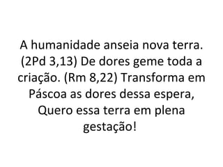 A humanidade anseia nova terra.
 (2Pd 3,13) De dores geme toda a
criação. (Rm 8,22) Transforma em
   Páscoa as dores dessa espera,
    Quero essa terra em plena
            gestação!
 