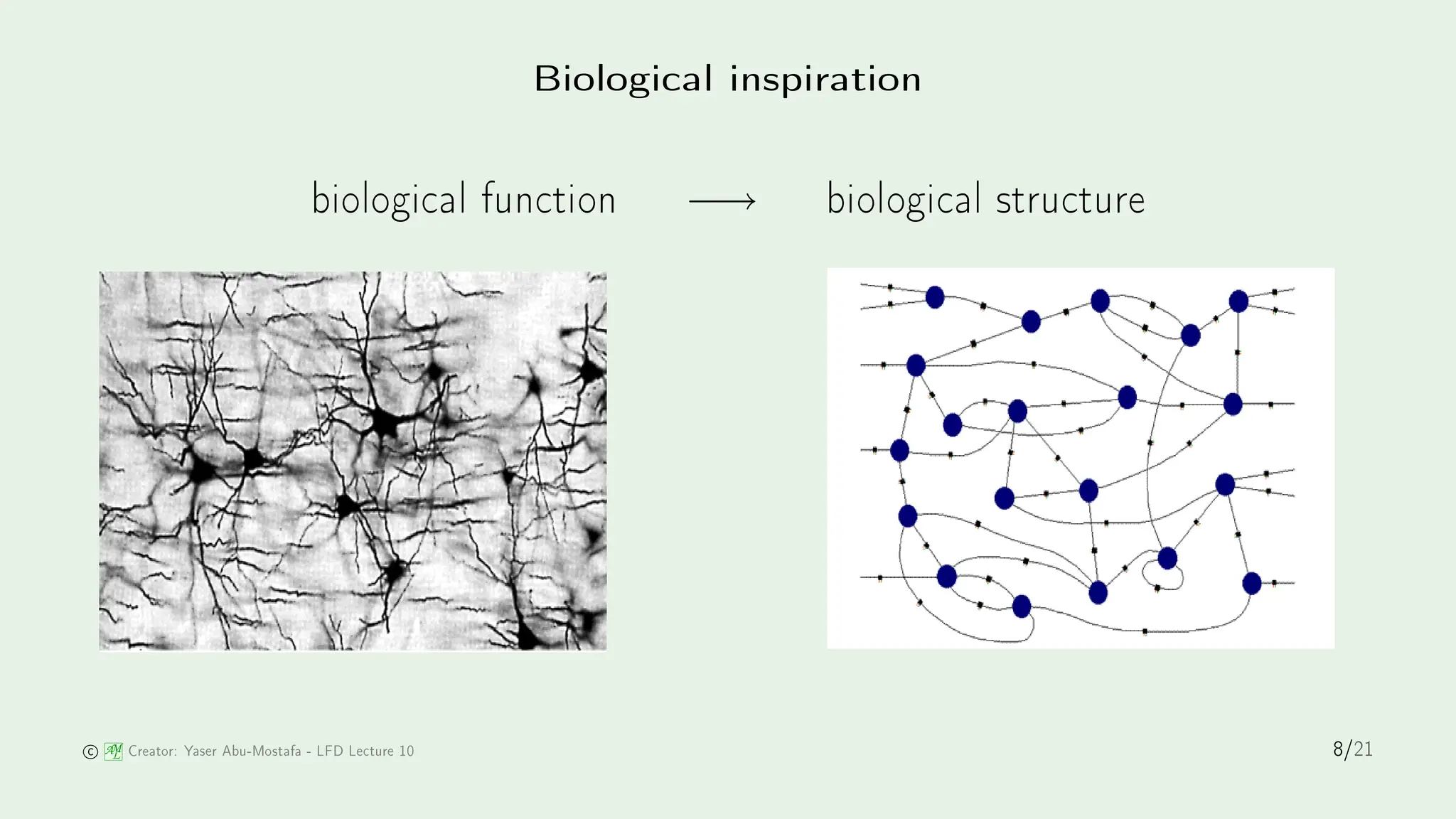 Biologi al inspiration
biologi al fun tion −→ biologi al stru ture
1
2
1
2
AM
L Creator: Yaser Abu-Mostafa - LFD Le ture 10 8/21
 