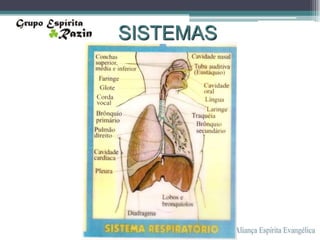 SISTEMAS
 