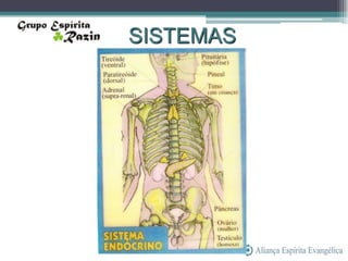 SISTEMAS
 
