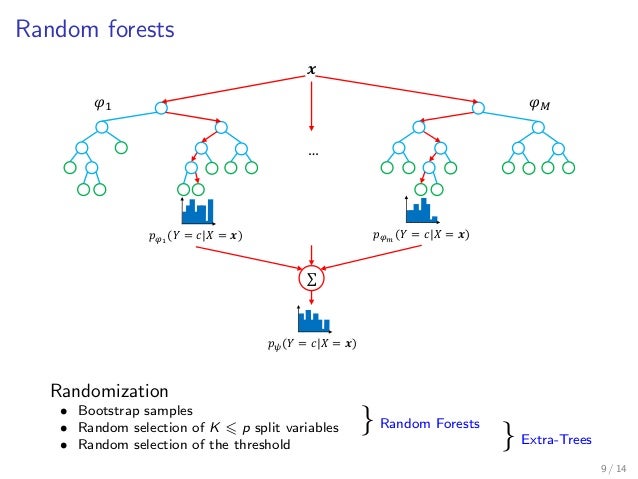 Bias-variance decomposition in Random Forests statistics tree diagram probability 