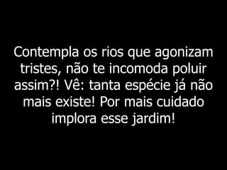 Contempla os rios que agonizam
tristes, não te incomoda poluir
assim?! Vê: tanta espécie já não
mais existe! Por mais cuidado
implora esse jardim!
 
