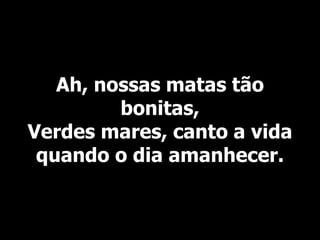 Ah, nossas matas tão
bonitas,
Verdes mares, canto a vida
quando o dia amanhecer.
 