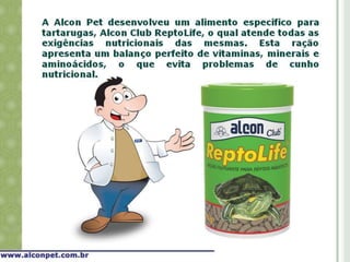 Alimentação de tartarugas