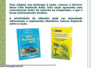 Alimentação de tartarugas