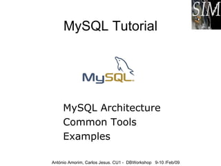 MySQL Tutorial MySQL Architecture Common Tools Examples  António Amorim, Carlos Jesus. CU1 -  DBWorkshop  9-10 /Feb/09 