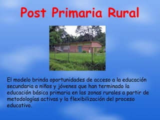 Post Primaria Rural




El modelo brinda oportunidades de acceso a la educación
secundaria a niños y jóvenes que han terminado la
educación básica primaria en las zonas rurales a partir de
metodologías activas y la flexibilización del proceso
educativo.
 