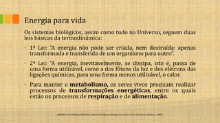 SLIDES 2 ANO ENERGIA 2 - obtenção de energia.pptx