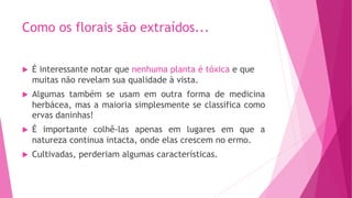 Como os florais são extraídos...
u É interessante notar que nenhuma planta é tóxica e que
muitas não revelam sua qualidade à vista.
u Algumas também se usam em outra forma de medicina
herbácea, mas a maioria simplesmente se classifica como
ervas daninhas!
u É importante colhê-las apenas em lugares em que a
natureza continua intacta, onde elas crescem no ermo.
u Cultivadas, perderiam algumas características.
 