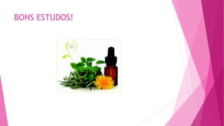 BONS ESTUDOS!
 