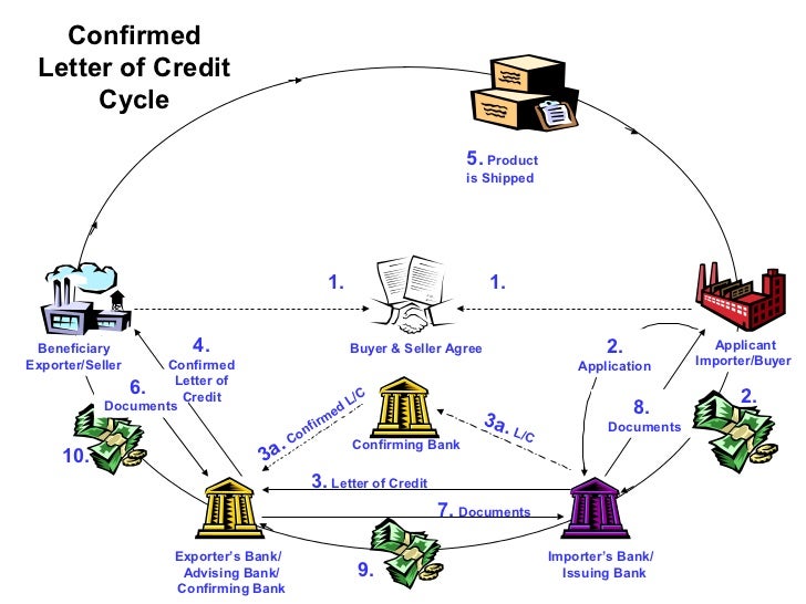 life-cycle-of-lc