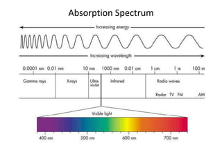 Absorption Spectrum
 
