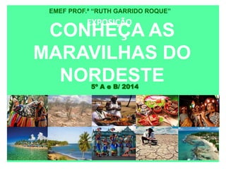 EMEF PROF.ª “RUTH GARRIDO ROQUE” 
EXPOSIÇÃO 
CONHEÇA AS 
MARAVILHAS DO 
NORDESTE 
5º A e B/ 2014 
 