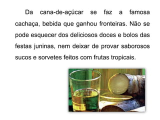 Da cana-de-açúcar se faz a famosa 
cachaça, bebida que ganhou fronteiras. Não se 
pode esquecer dos deliciosos doces e bolos das 
festas juninas, nem deixar de provar saborosos 
sucos e sorvetes feitos com frutas tropicais. 
 