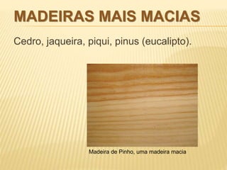 MADEIRAS MAIS MACIAS 
Cedro, jaqueira, piqui, pinus (eucalipto). 
Madeira de Pinho, uma madeira macia 
 