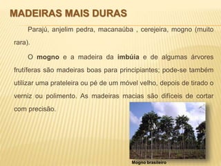 MADEIRAS MAIS DURAS 
Parajú, anjelim pedra, macanaúba , cerejeira, mogno (muito 
rara). 
O mogno e a madeira da imbúia e de algumas árvores 
frutíferas são madeiras boas para principiantes; pode-se também 
utilizar uma prateleira ou pé de um móvel velho, depois de tirado o 
verniz ou polimento. As madeiras macias são difíceis de cortar 
com precisão. 
Mogno brasileiro 
 