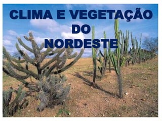 CLIMA E VEGETAÇÃO 
DO 
NORDESTE 
 
