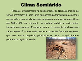 Clima Semiárido 
Presente principalmente na região interior do Nordeste (região do 
sertão nordestino). É uma área que apresenta temperaturas elevadas 
quase todo o ano. as chuvas são irregulares e em pouca quantidade 
(de 300 a 500 mm por ano). A umidade também é muito baixa, 
tornando o clima seco. É comum ocorrer a ausência de chuvas por 
vários meses. É a área onde ocorre a conhecida Seca do Nordeste, 
que leva muitos prejuízos, principalmente, para a agricultura e 
pecuária da região do sertão. 
 