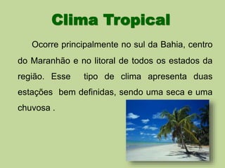 Clima Tropical 
Ocorre principalmente no sul da Bahia, centro 
do Maranhão e no litoral de todos os estados da 
região. Esse tipo de clima apresenta duas 
estações bem definidas, sendo uma seca e uma 
chuvosa . 
 