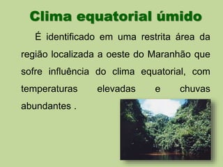 Clima equatorial úmido 
É identificado em uma restrita área da 
região localizada a oeste do Maranhão que 
sofre influência do clima equatorial, com 
temperaturas elevadas e chuvas 
abundantes . 
 